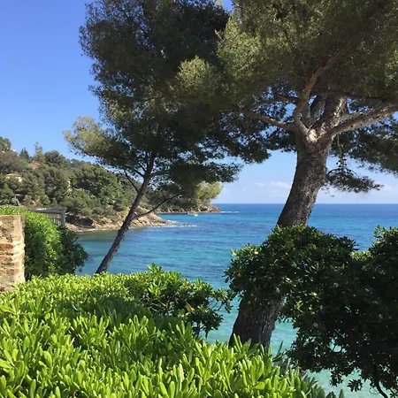 Calme,mer, Nature Bormes-les-Mimosas